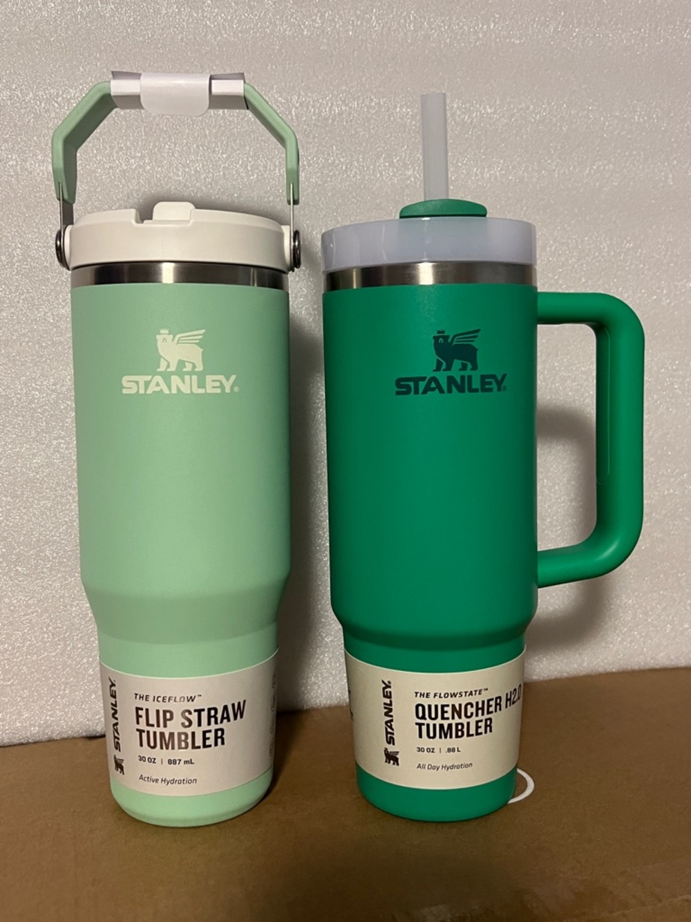 Stanley Mint & Evergreen Dual Tumbler Set